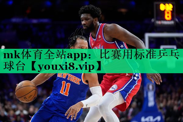 比賽用標準乒乓球臺 比賽用標準乒乓球臺