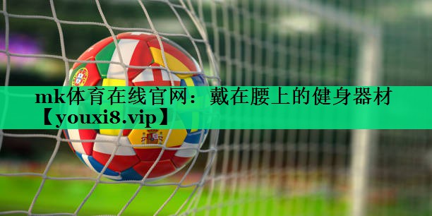 戴在腰上的健身器材 戴在腰上的健身器材